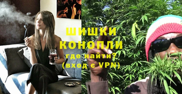 PSILOCYBIN Алексин