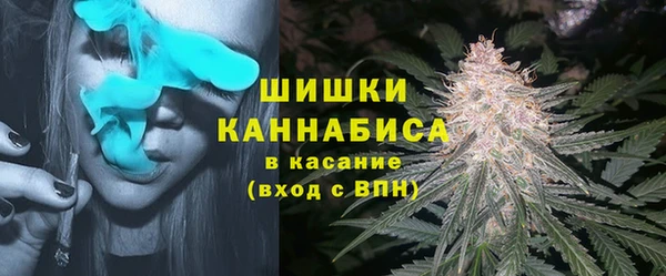 PSILOCYBIN Алексин