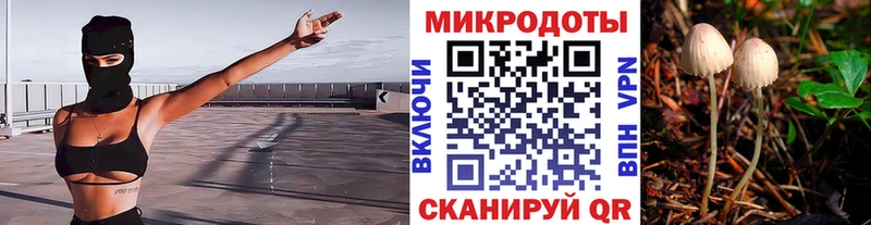 купить цена Мегион Галлюциногенные грибы Psilocybe